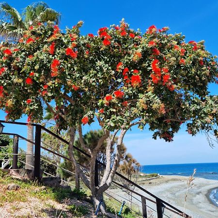Astrofegia Beachfront Villa Pomos Bagian luar foto