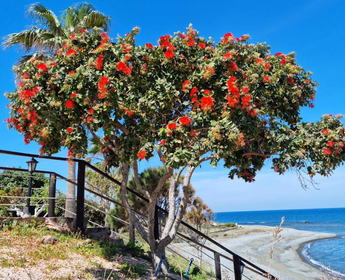 Astrofegia Beachfront Villa Pomos Bagian luar foto