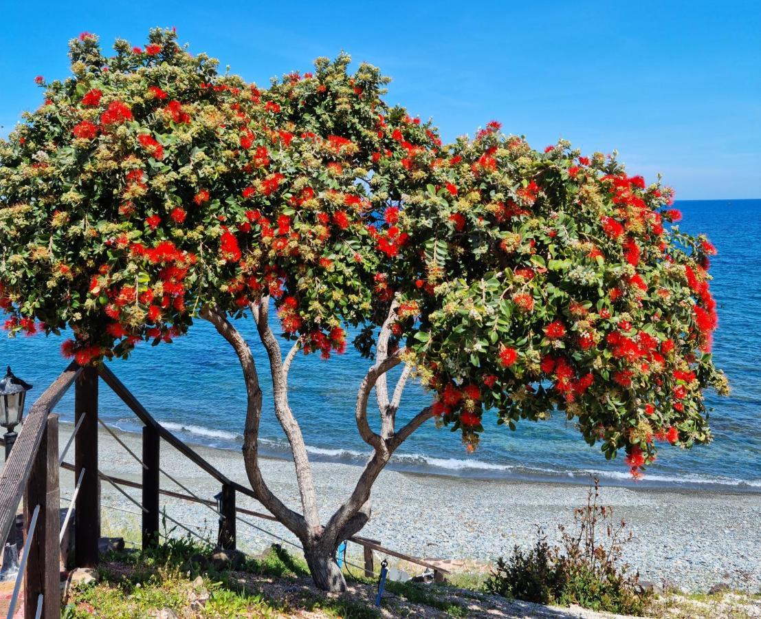 Astrofegia Beachfront Villa Pomos Bagian luar foto