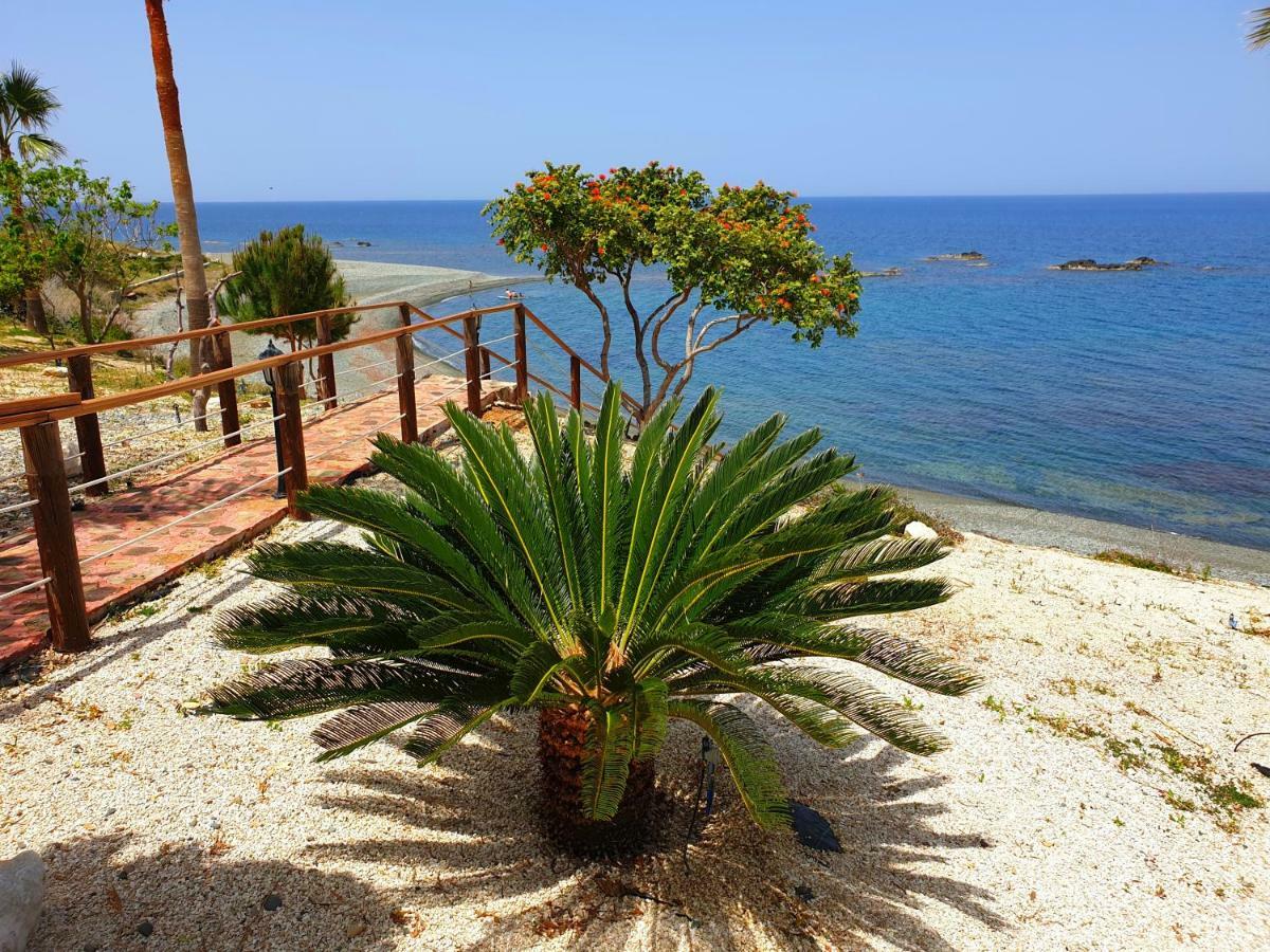 Astrofegia Beachfront Villa Pomos Bagian luar foto